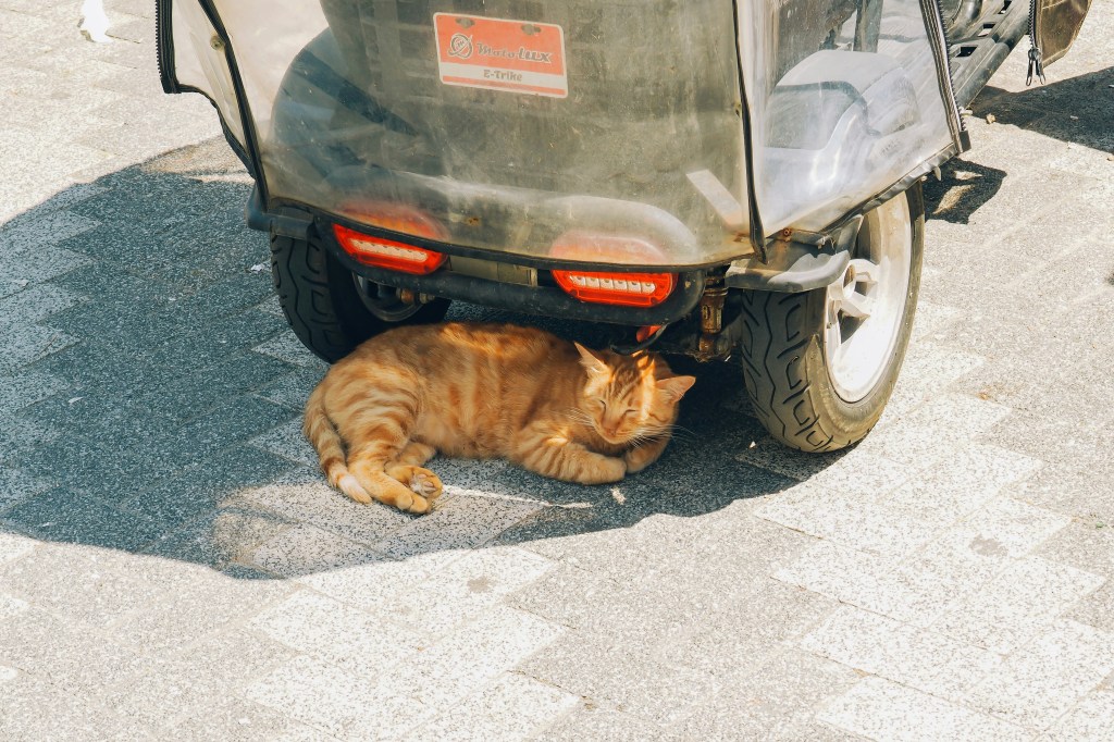 Hot weather