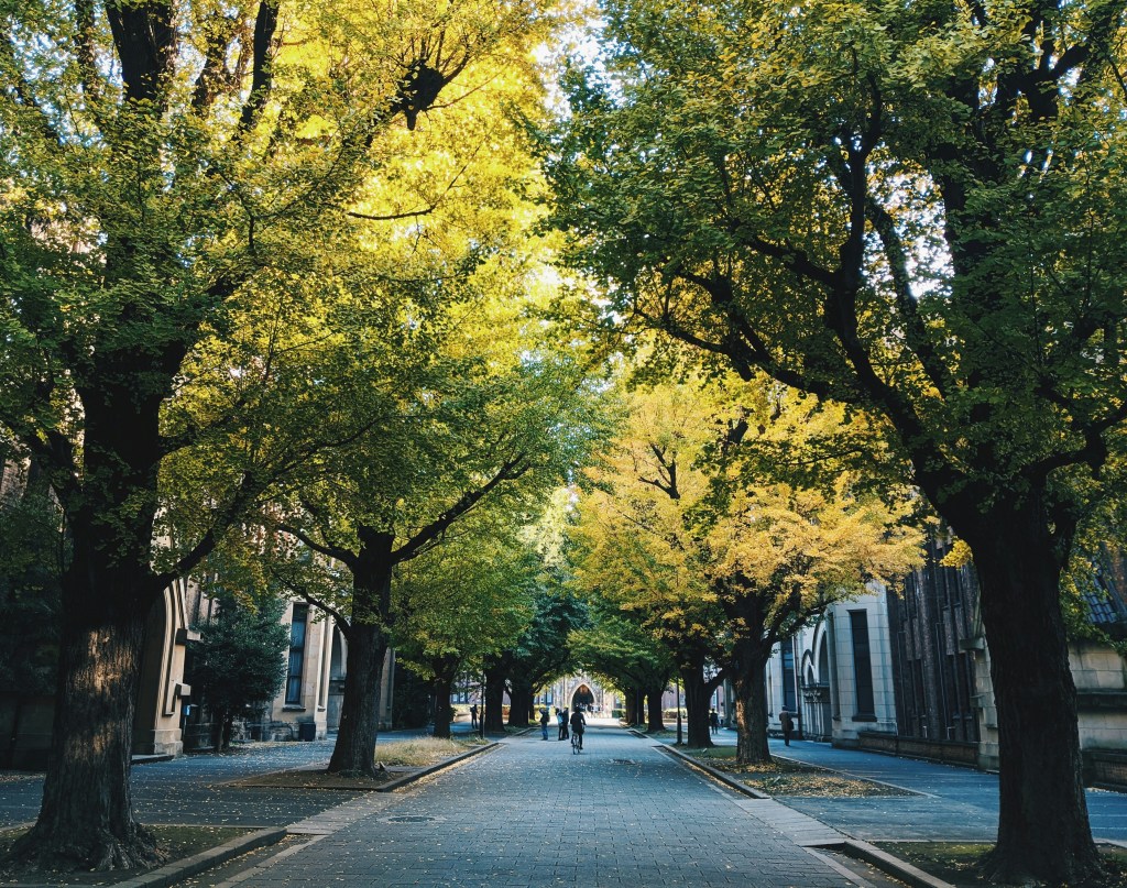 Early fall by Note Thanun on Unsplash